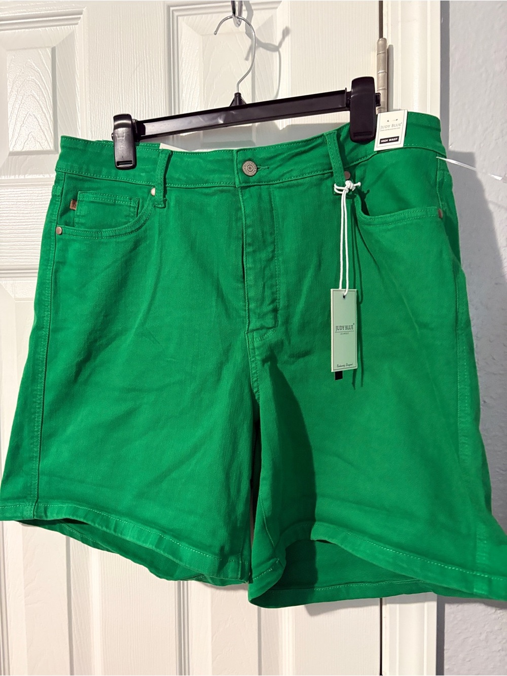 Nwt Judy Blue Kelly Green high waisted jean shorts - Picture 2 of 10